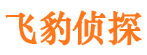 魏都市侦探公司